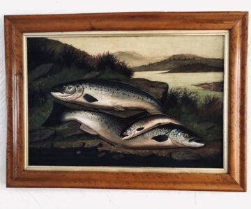 A Fisherman’s catch