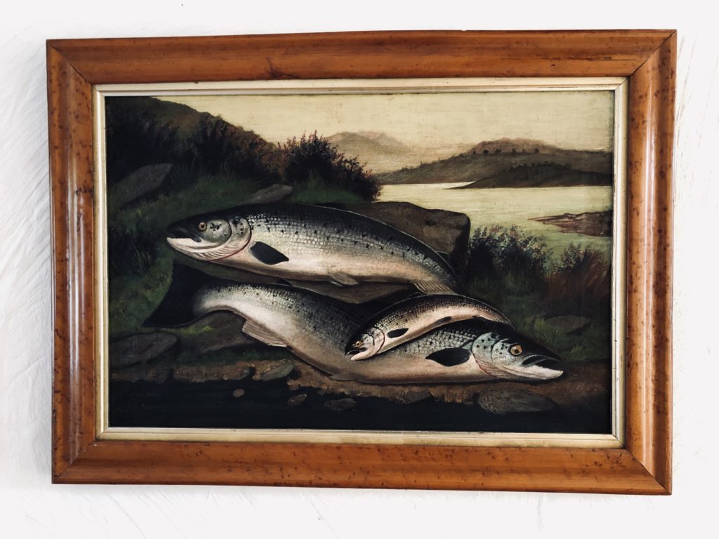 A Fisherman’s catch