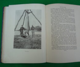 Alternative view of Tales of the Angler's Eldorado by Zane Grey 1st Edition 1926 hardback