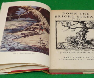 Alternative view of Down The Bright Stream by 'BB', 1955 2nd edition, hardback book.
