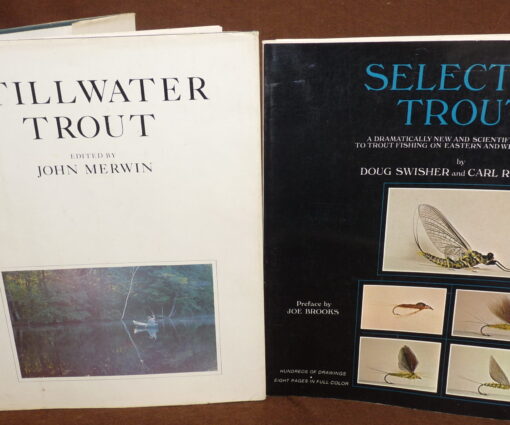 Stillwater Trout