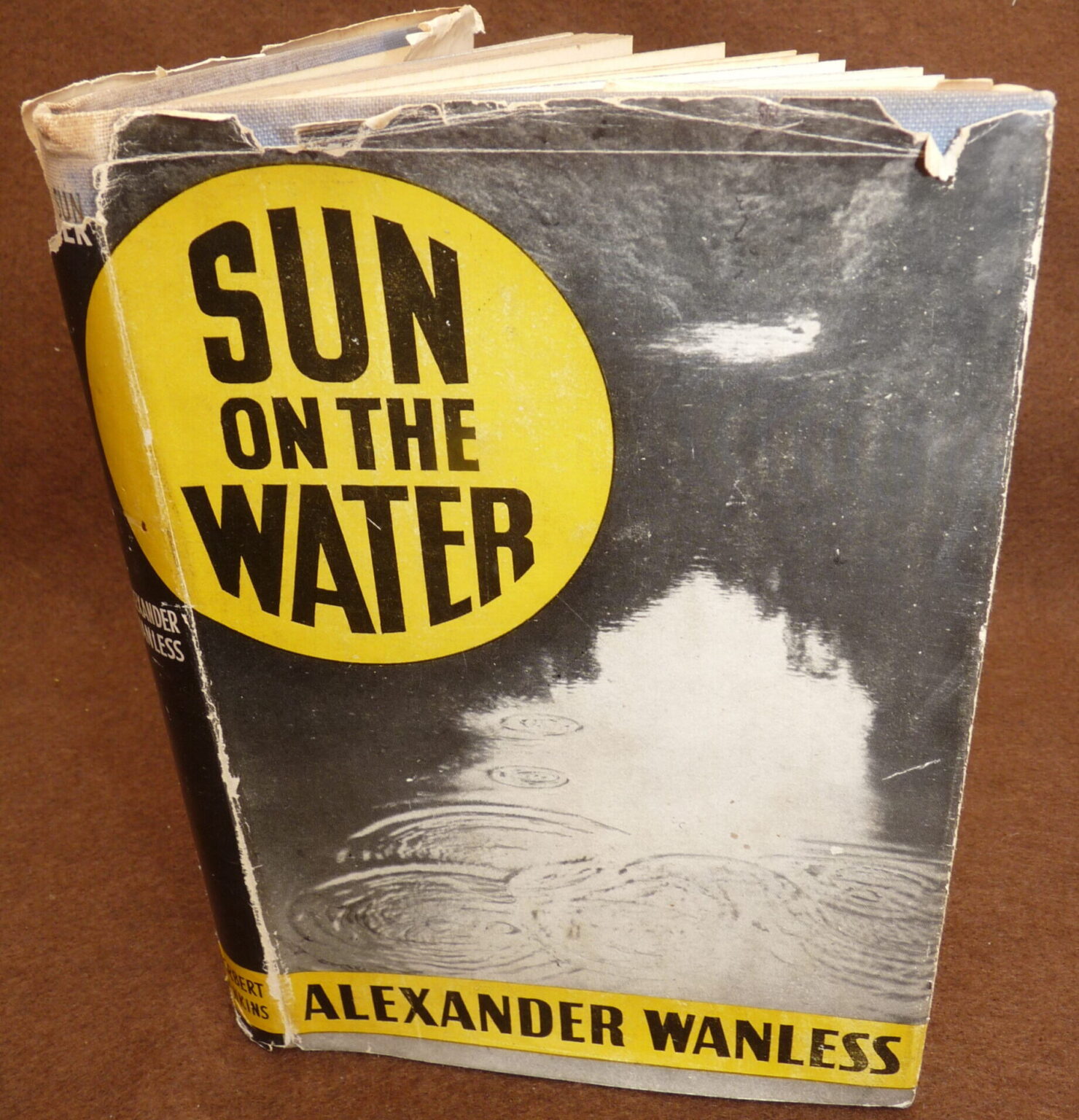 Sun On The Water, Alexander Wanless, 1950 1st ed book