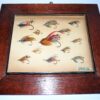 C Farlow & Co The Strand London Atlantic salmon flies in wooden presentation display frame