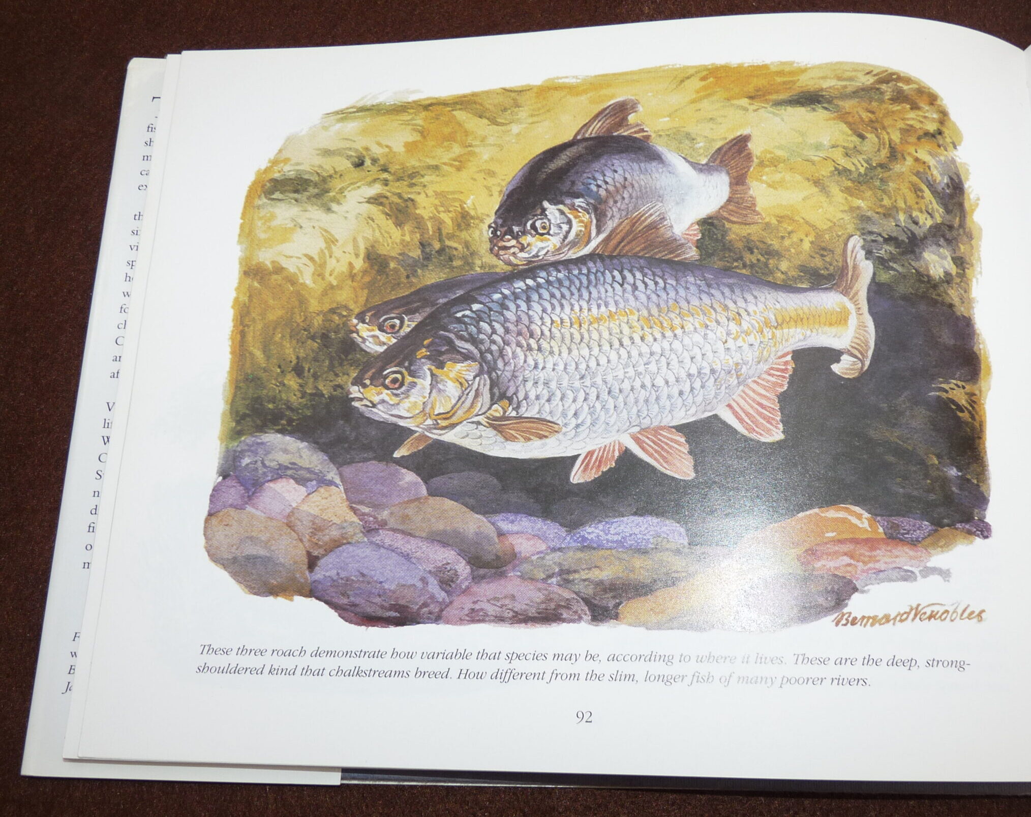 2 Bernard Venables fishing book, Angling waters Memoirs of a Fisherman - Image 3