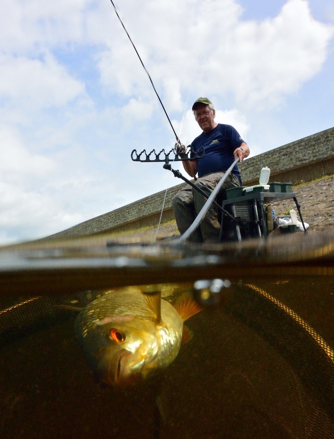 DAVE COSTER'S GUIDE TO LATER CLASSIC RODS - Thomas Turner Fishing