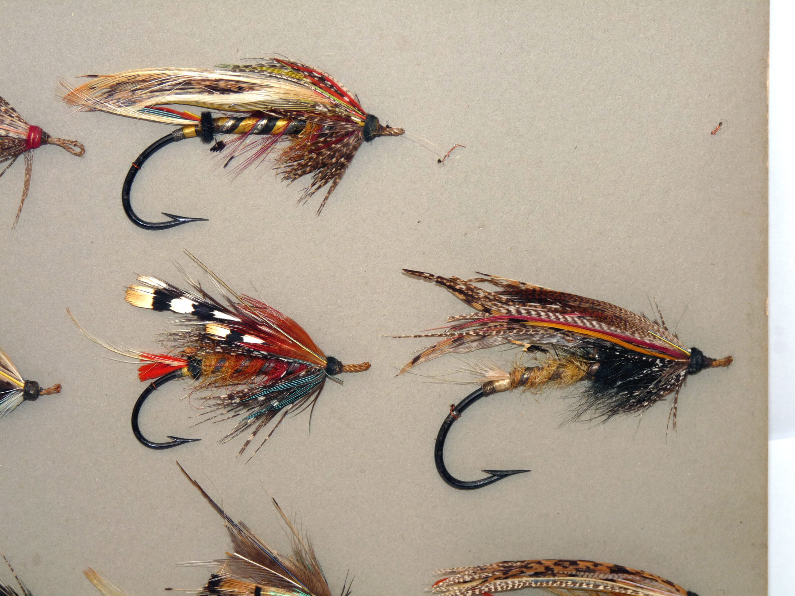 14 antique large gut eyed salmon flies stitched onto grey card, hook sizes 1/0 to 7/0 - Image 3