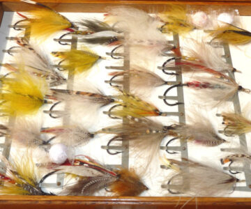 Alternative view of Farlow wood fly reservoir cabinet 300+ gut eye salmon flies inc eagle 3-1/4" c1900