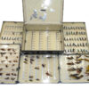 Farlow black japanned vintage fly reservoir