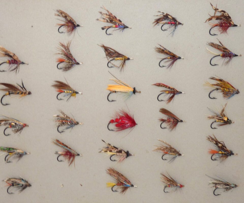27 antique gut eyed salmon flies on grey card, hook sizes 1-3