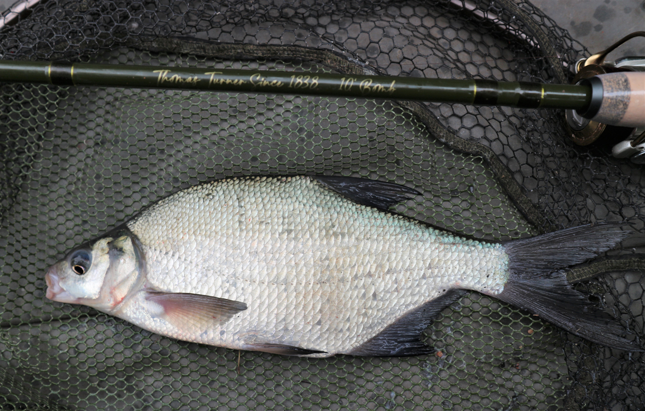 Brand new Thomas Turner Classic+ 10ft Bomb rod with bag and cordura tube - Image 7