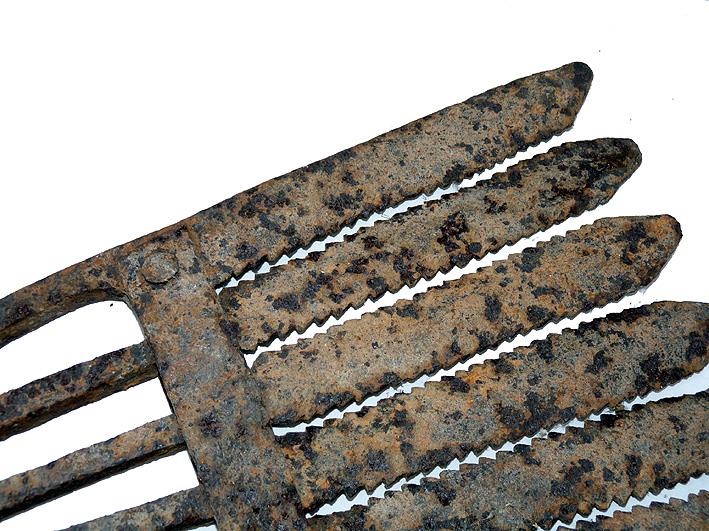 Antique English wrought iron eel Gleave c 1900 , rare 20" long for display - Image 2