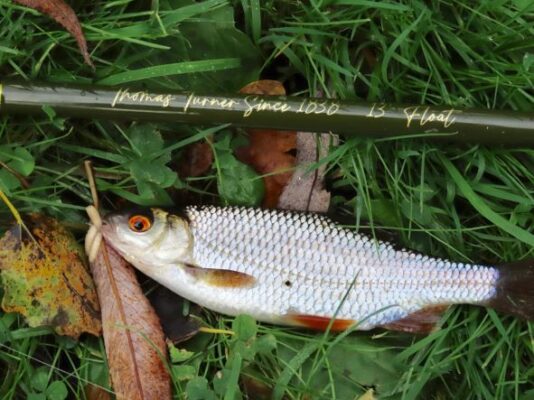 Bliss - TT Classic+ 13ft float rod