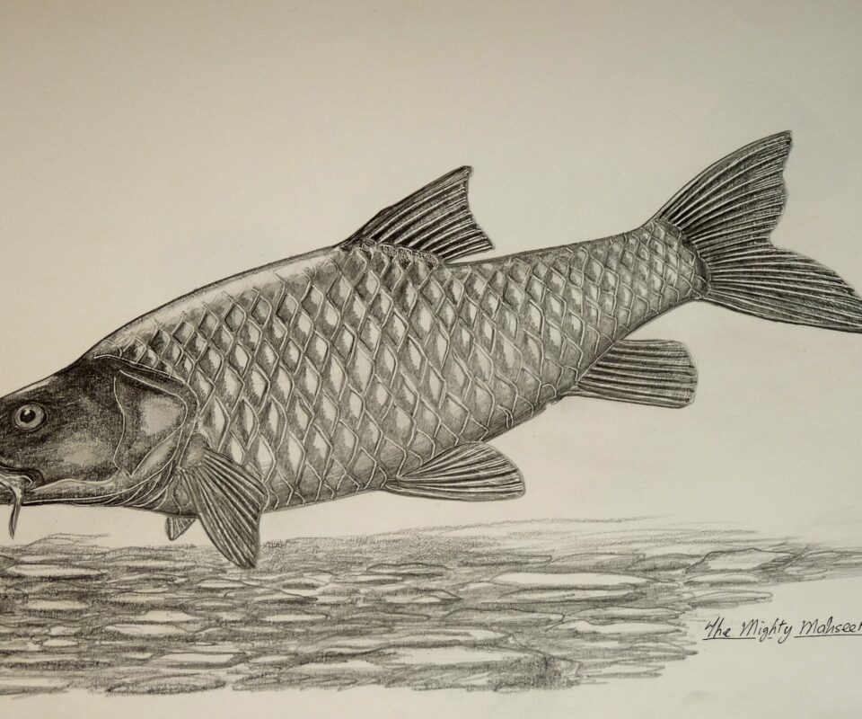 Brian Mills Drawing 37