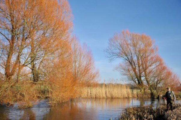 Float fishing heaven 