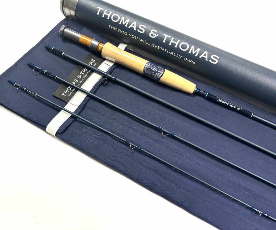  Thomas and Thomas AVANTT 8′ 6