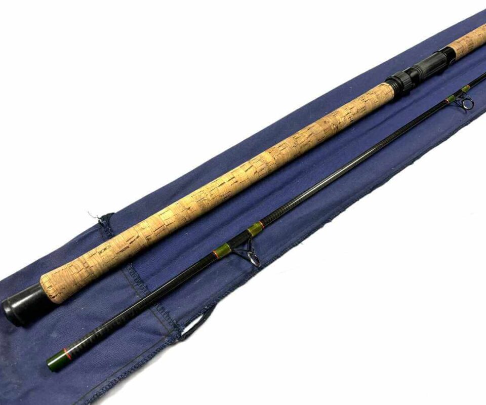   Daiwa Graphite Salmon Spinning Rod 10’ Two Piece Rod 10-40g Salmon Pike Bass Fishing