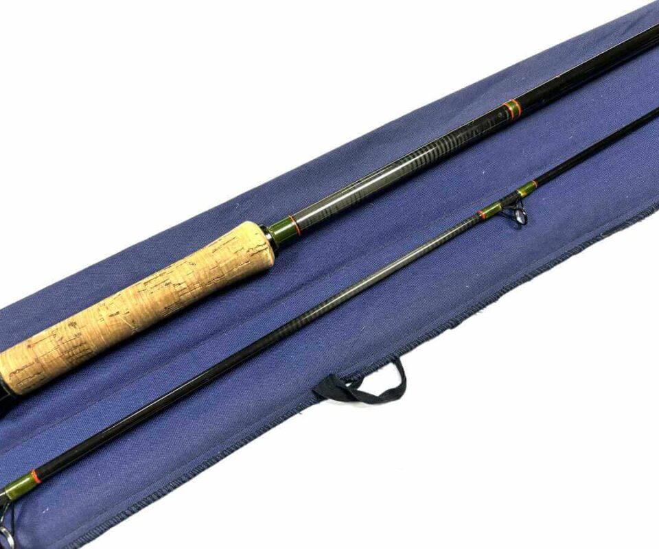   Daiwa Graphite Salmon Spinning Rod 10’ Two Piece Rod 10-40g Salmon Pike Bass Fishing