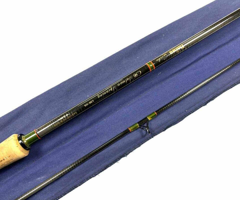   Daiwa Graphite Salmon Spinning Rod 10’ Two Piece Rod 10-40g Salmon Pike Bass Fishing