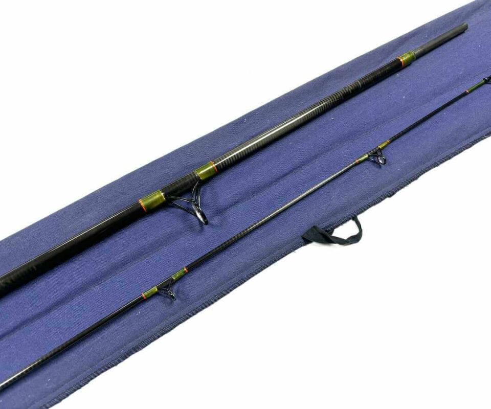   Daiwa Graphite Salmon Spinning Rod 10’ Two Piece Rod 10-40g Salmon Pike Bass Fishing