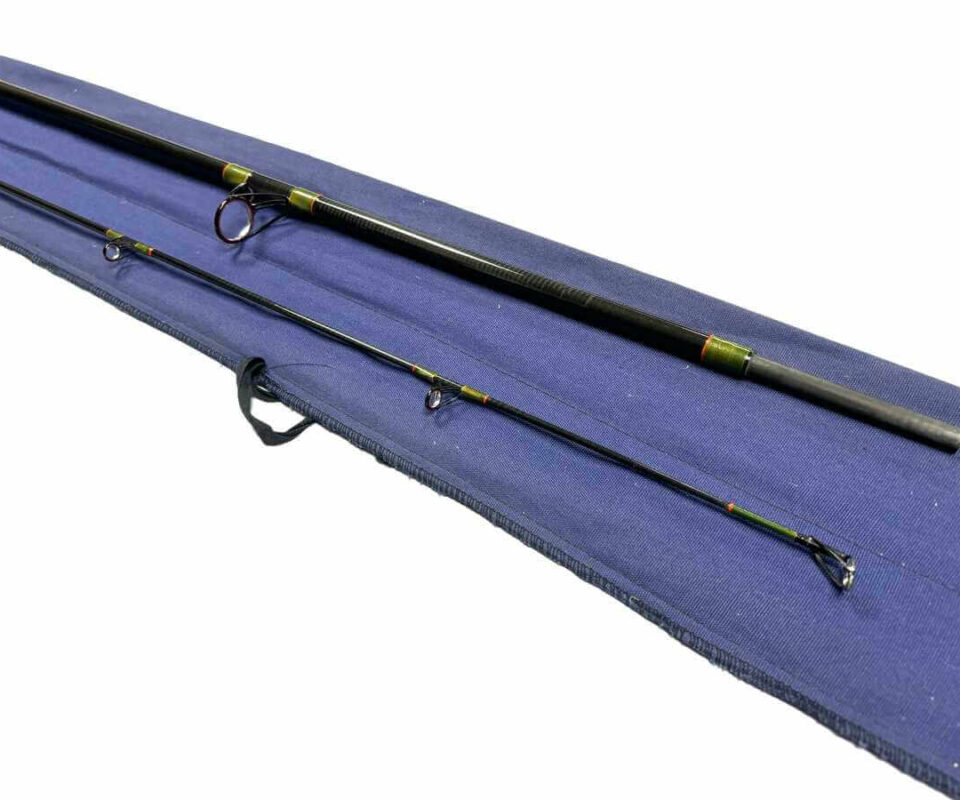   Daiwa Graphite Salmon Spinning Rod 10’ Two Piece Rod 10-40g Salmon Pike Bass Fishing