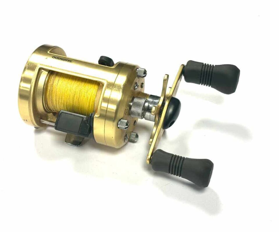   Shimano Calcutta 400 multiplier sea reel with gold finish plus optional check