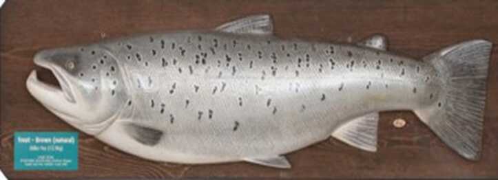 (post) Richard Hewitt pays tribute to the fish-carving skills of the late Russian guide Nick Podolsky