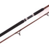Leedr Spin 2000 Series 9FT spinning rod with bag.