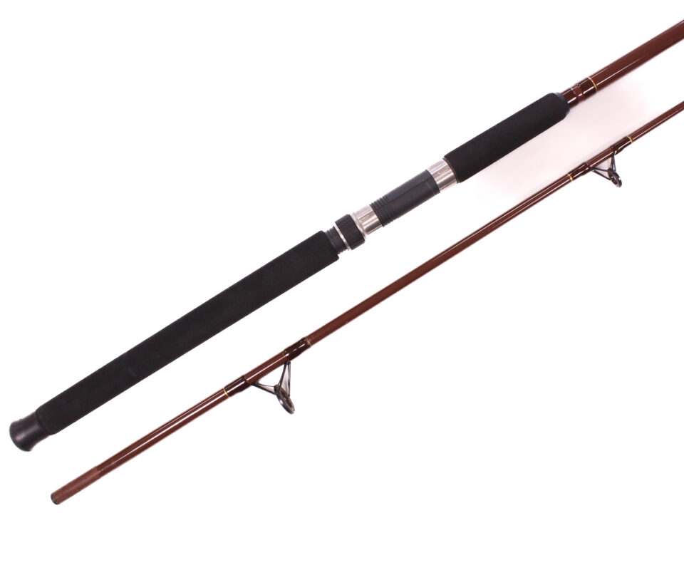   Leedr Spin 2000 Series 9FT spinning rod with bag.