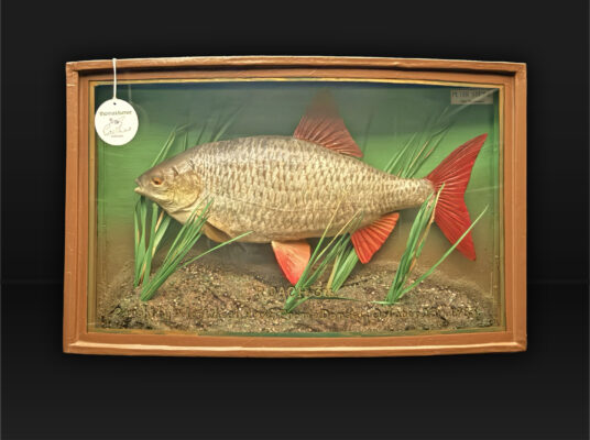 (post) In 'case' you were wondering… The Peter Wheat collection keeps getting better