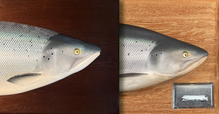 (post) Big News: New Appointments, Rare Tackle Finds, Peter Wheat Update & TT Classic+ Rod Offers