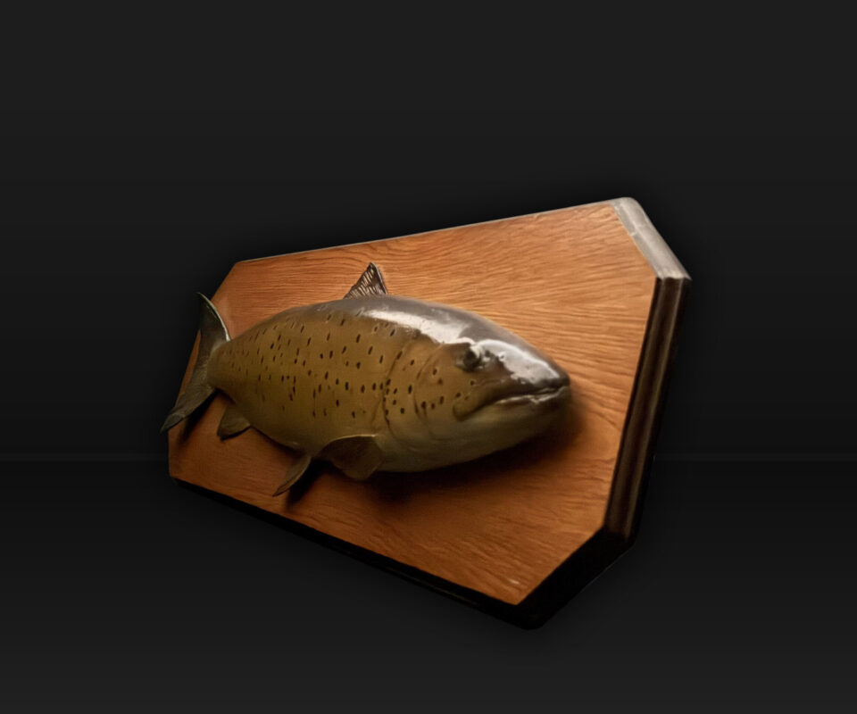 Alternative view of Carved Brown Trout by Chris Elliott