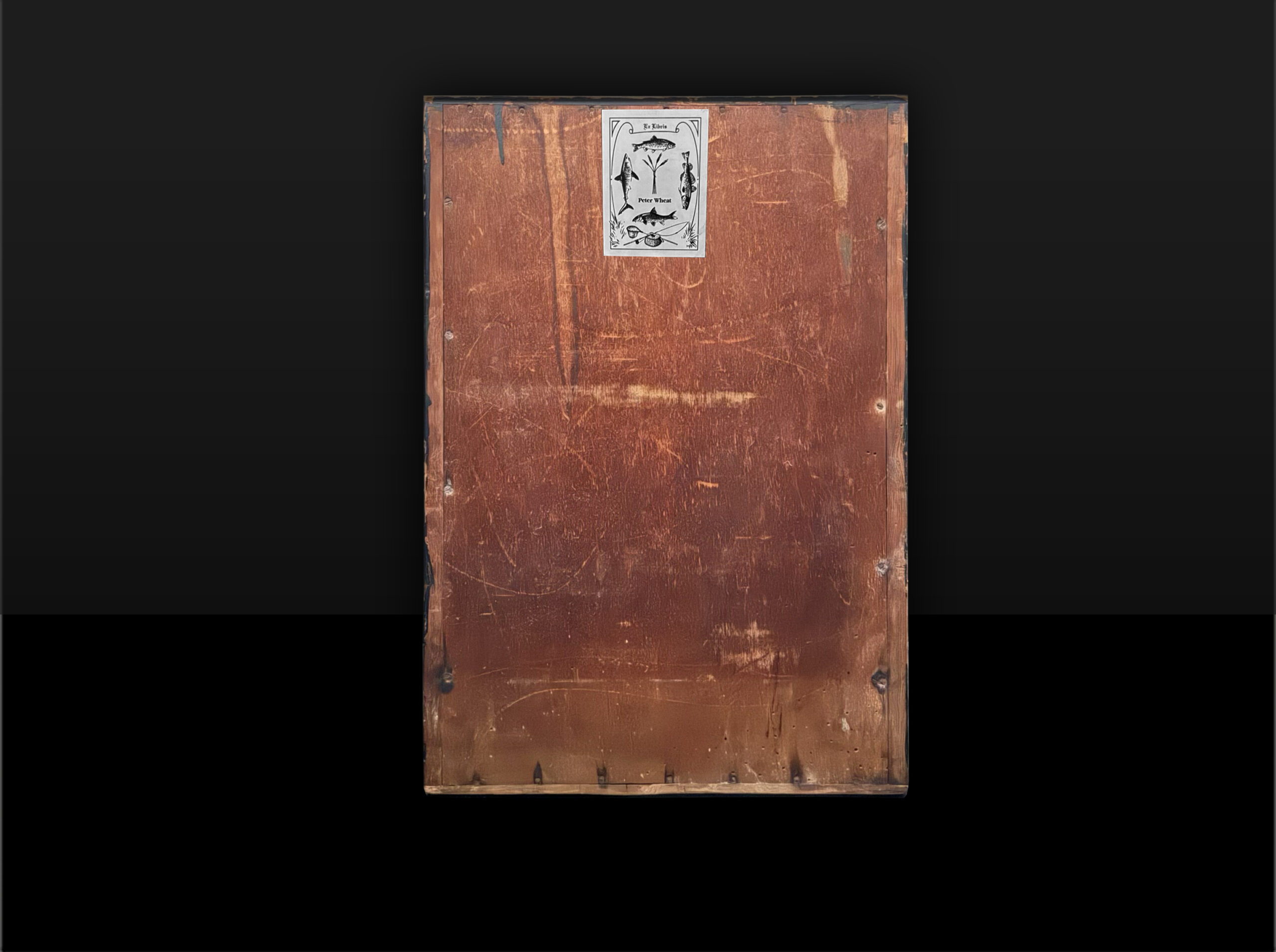 Cased Owl
