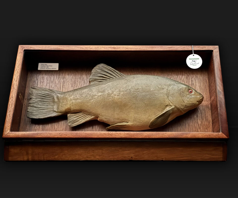(post) Hardy carved salmon migrate from HQ
