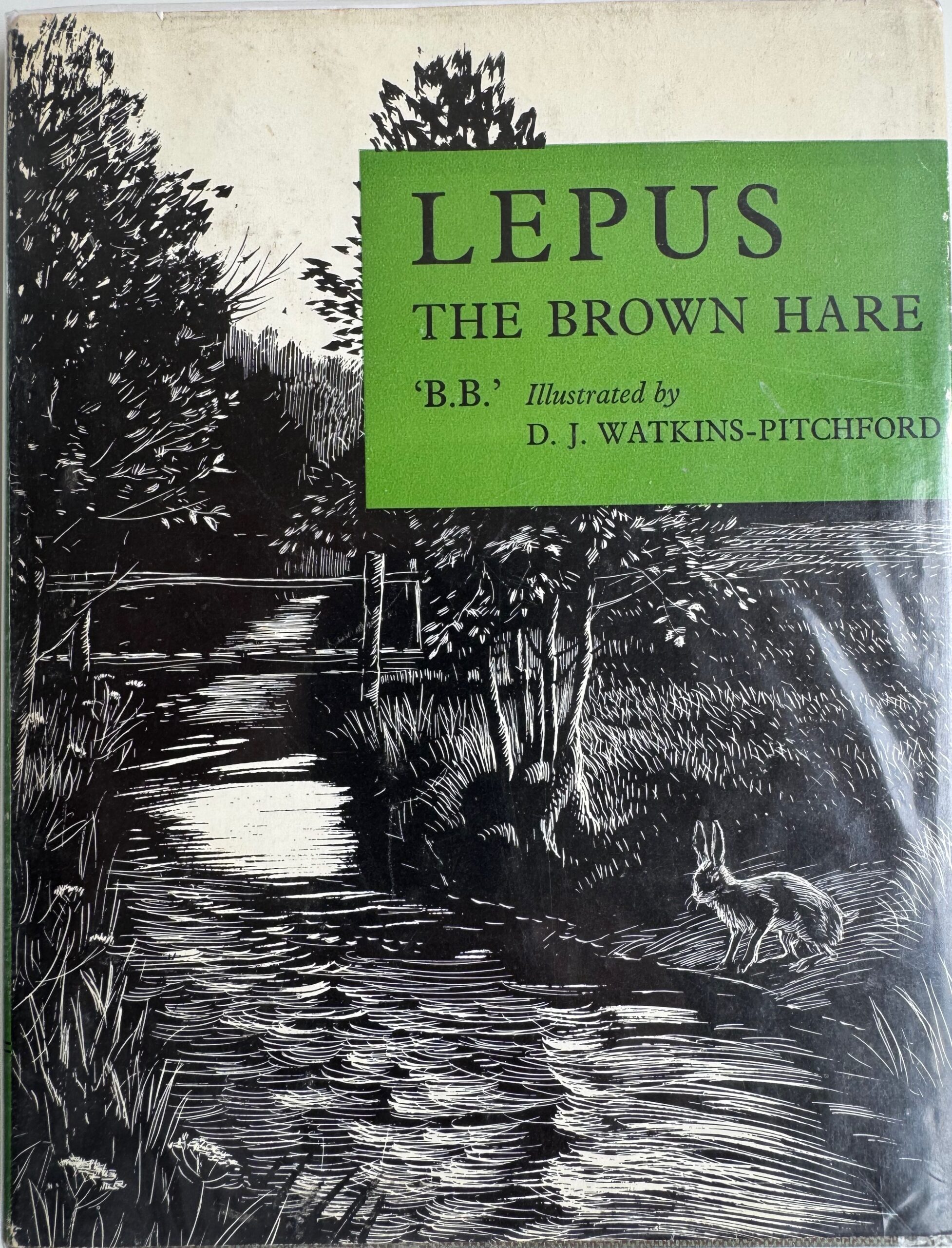 "BB" Denys Watkins-Pitchford. Signed Original Drawing from Lepus the Brown Hare - Image 3