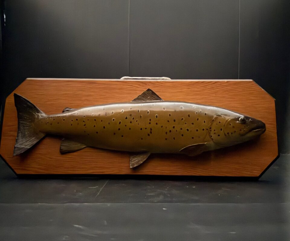 Carved Brown Trout by Chris Elliott
