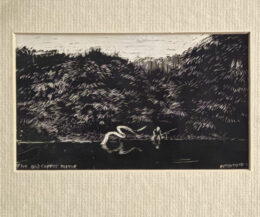   "BB" Denys Watkins-Pitchford. Original Scraperboard from The Shooting Times 1988