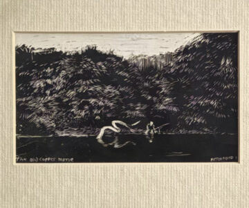   "BB" Denys Watkins-Pitchford. Original Scraperboard from The Shooting Times 1988