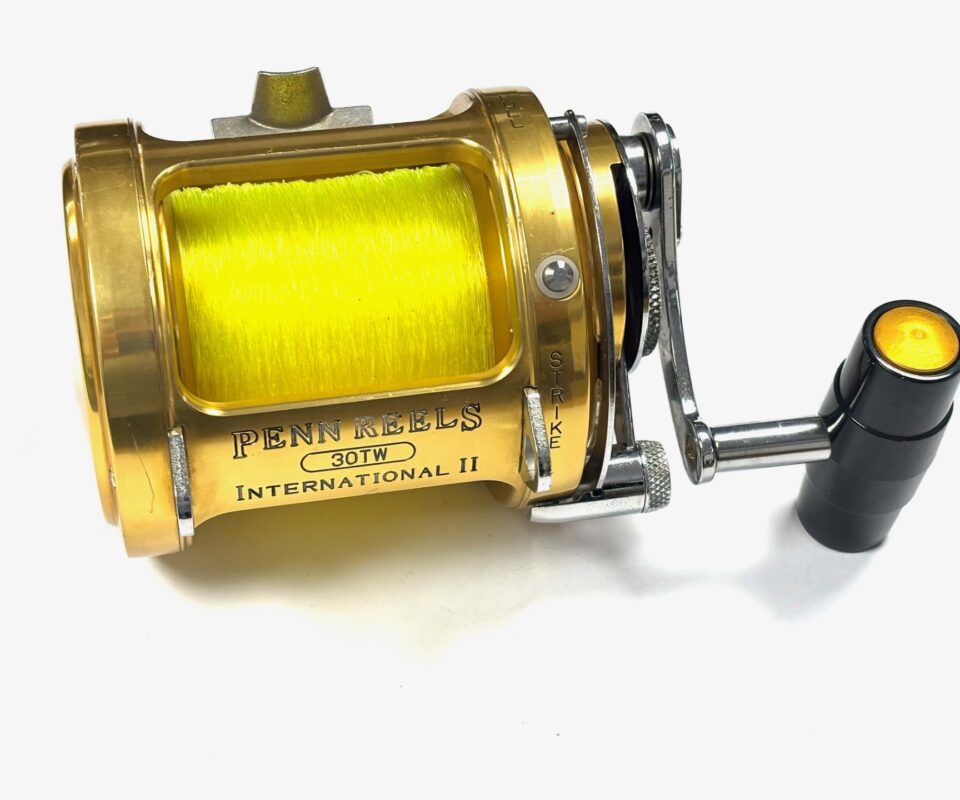 Penn 30 TW International Big Game Salt Sea Reel