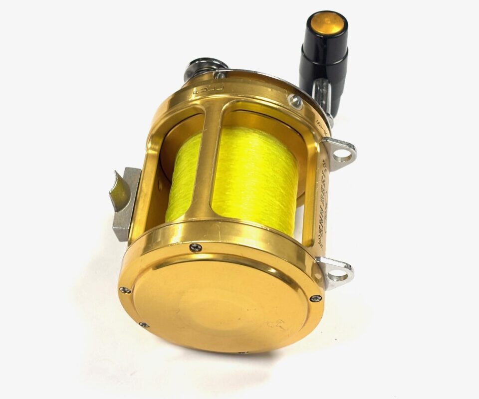   Penn 30 TW International Big Game Salt Sea Reel