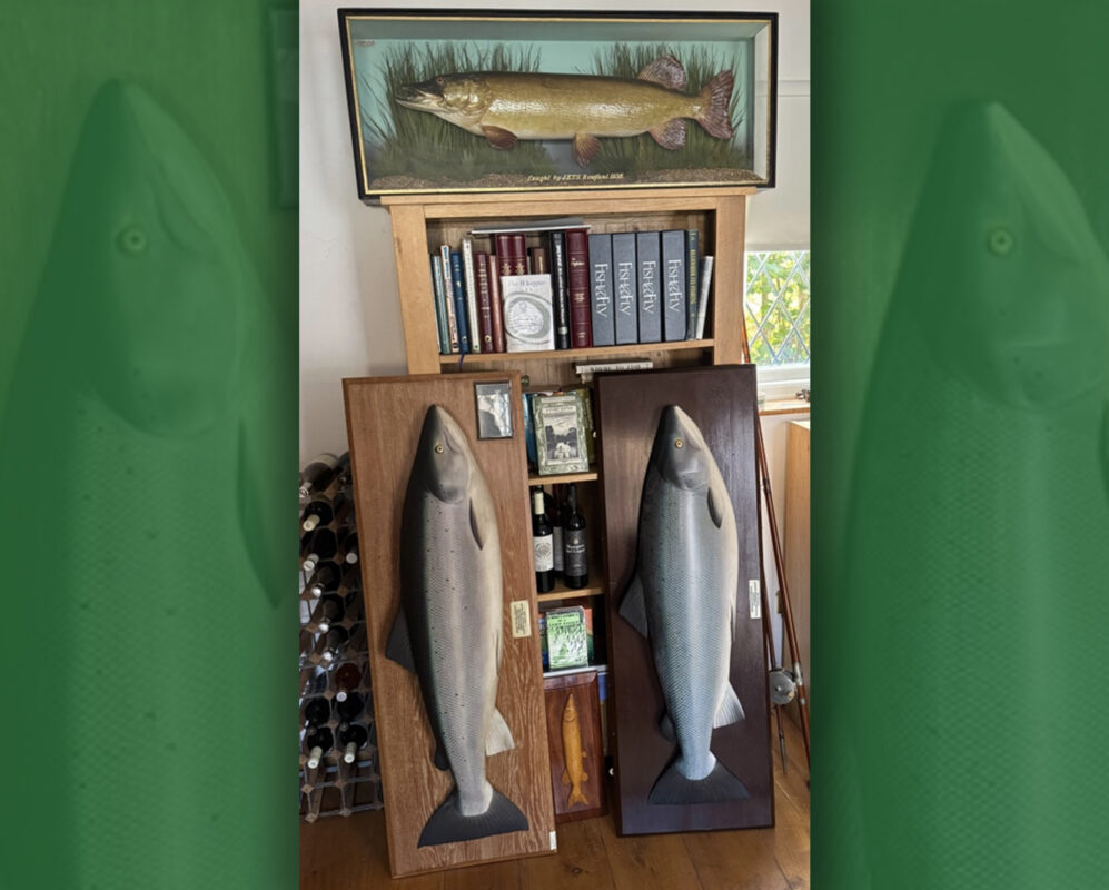 (post) Hardy carved salmon migrate from HQ