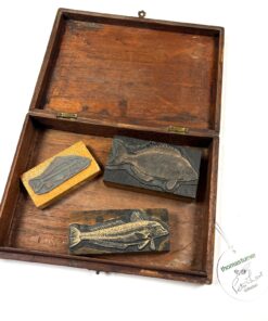 Vintage Fish Letterpress Printing Block Anglers World 66-68 Peter Wheat Collection