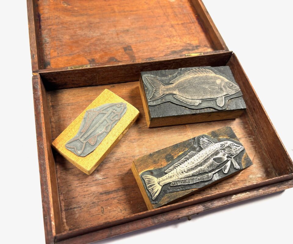 Vintage Fish Letterpress Printing Block Anglers World 66-68 Peter Wheat Collection