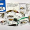 Peter Wheat Collection Of South Bend Fishing Lures With Literature