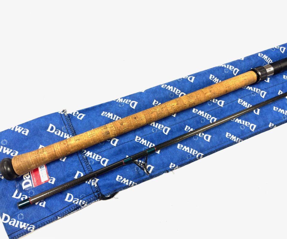 Daiwa Graphite Salmon Spinning Rod 10’ Two Piece Rod 10-40g Salmon Pike Bass Fishing