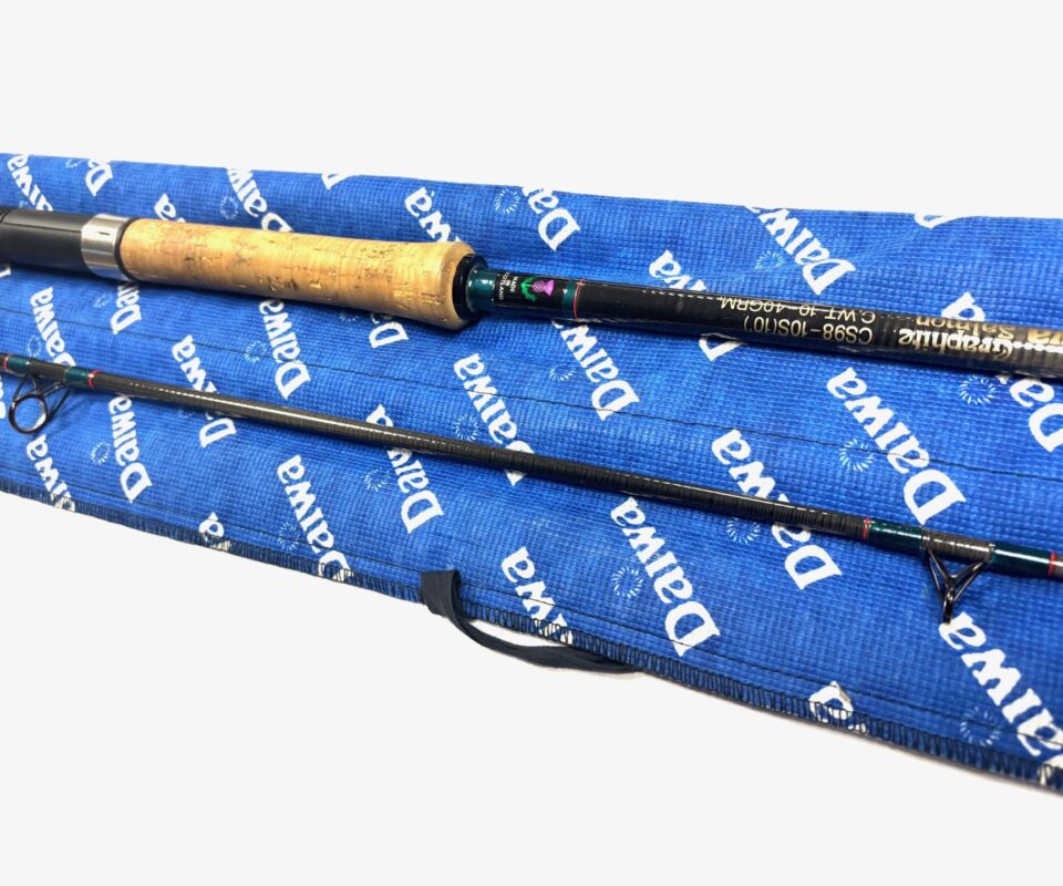 Daiwa Graphite Salmon Spinning Rod 10’ Two Piece Rod 10-40g Salmon Pike Bass Fishing