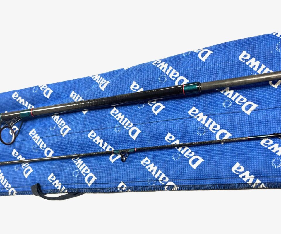 Daiwa Graphite Salmon Spinning Rod 10’ Two Piece Rod 10-40g Salmon Pike Bass Fishing