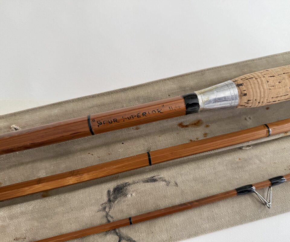 F. T. Williams 11ft The Superior Cane Coarse Rod