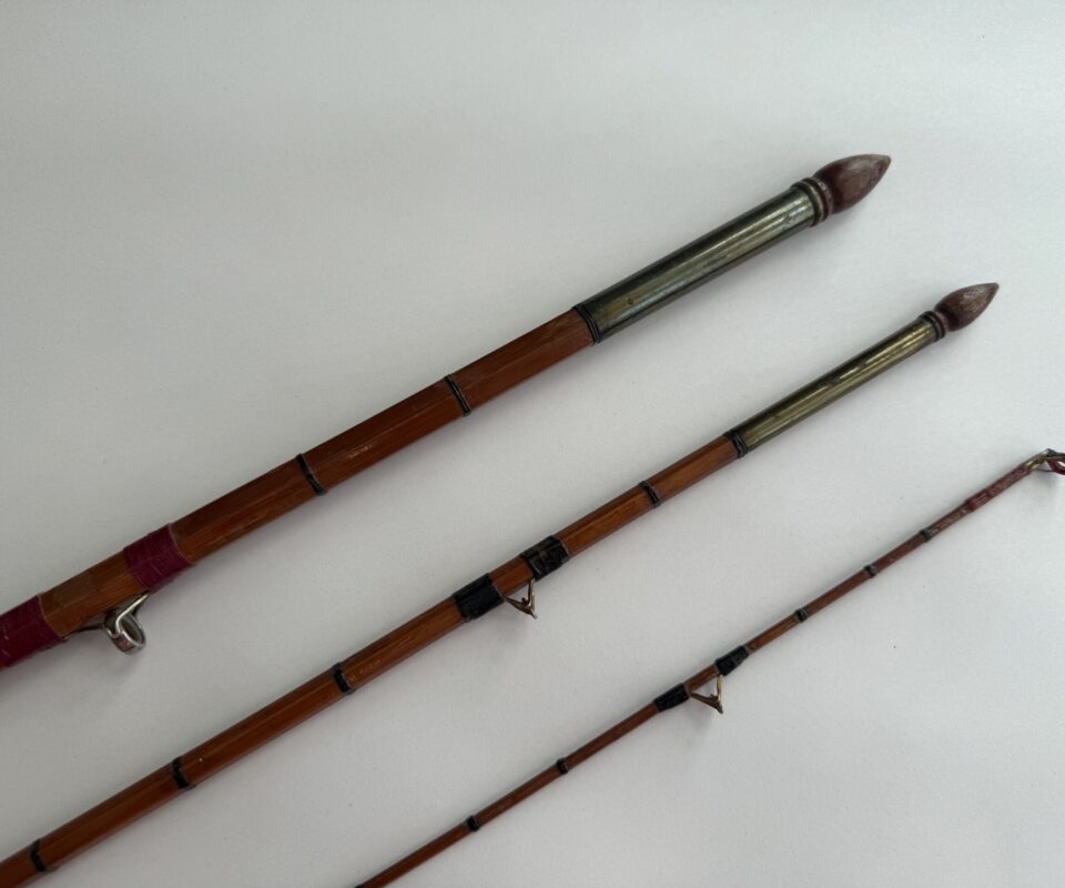 Elasticane 13ft The Test Cane Coarse Rod