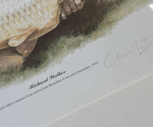 Claire Yates Limited Edition Print 203/250 – Richard Walker & His 44 lb Common Carp