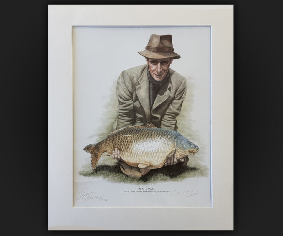 Claire Yates Limited Edition Print 203/250 – Richard Walker & His 44 lb Common Carp